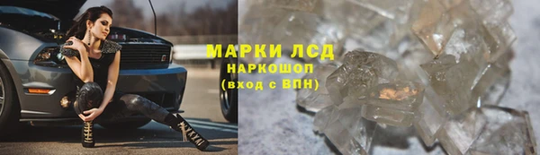 мяу мяу мука Пролетарск