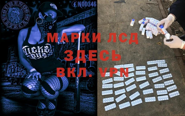 мяу мяу мука Пролетарск