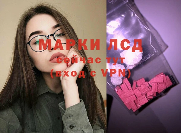 мяу мяу мука Пролетарск