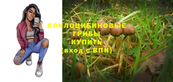 mix Краснослободск