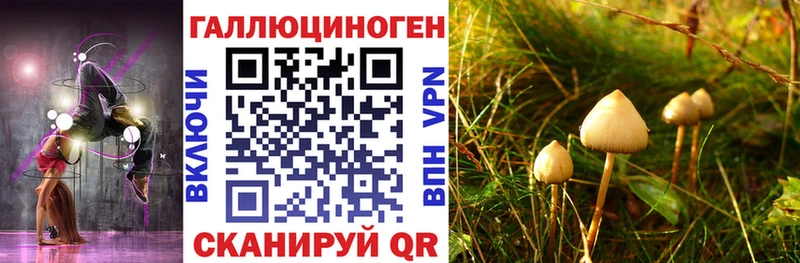 Псилоцибиновые грибы Cubensis  нарко площадка телеграм  Реутов 