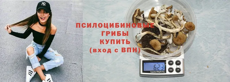 Псилоцибиновые грибы GOLDEN TEACHER Реутов