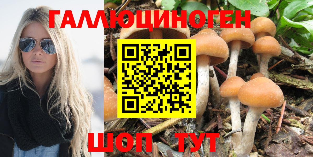 Галлюциногенные грибы Psilocybine cubensis  Вход с VPN  Реутов  Псилоцибиновые грибы ЛСД 