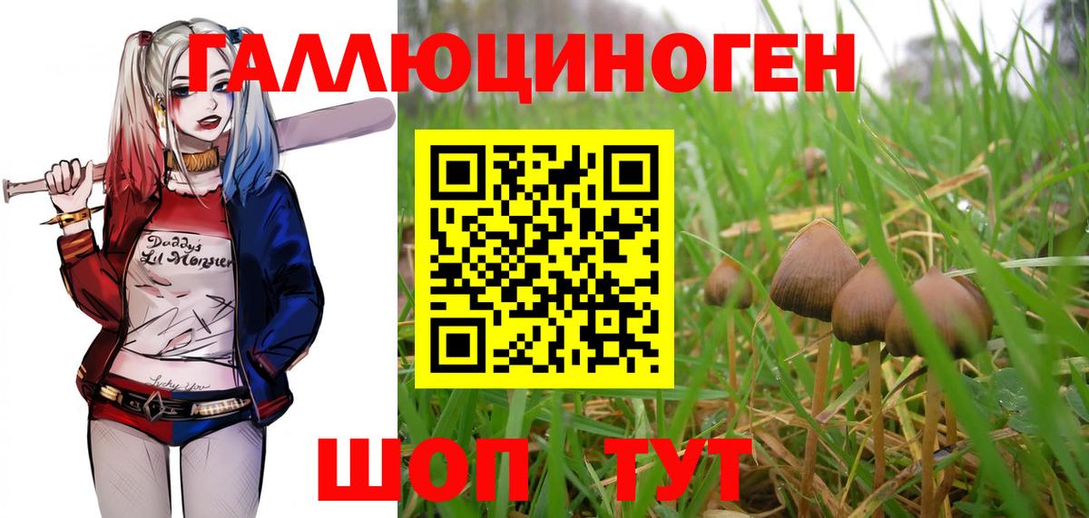 Псилоцибиновые грибы прущие грибы Реутов