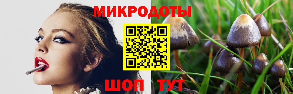 Галлюциногенные грибы Cubensis Реутов