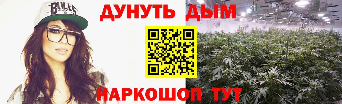 Шишки марихуана ГИДРОПОН  Реутов  Шишки марихуана гибрид 